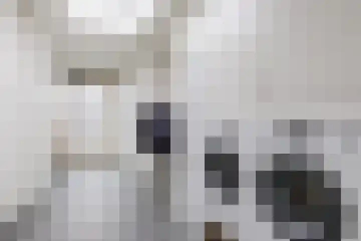 Gladioolstraat 17 Dongen thumbnail 21