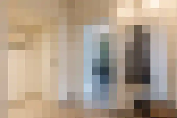 Gladioolstraat 17 Dongen thumbnail 22