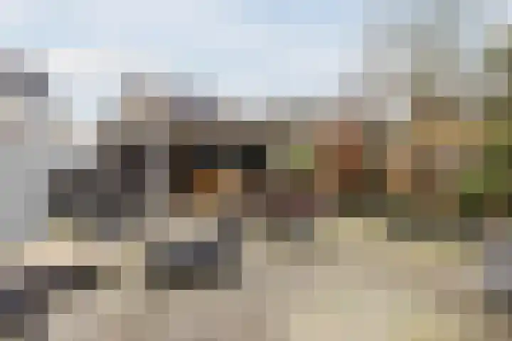 Gladioolstraat 17 Dongen thumbnail 23