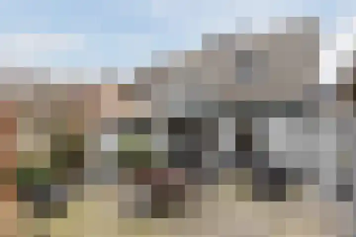 Gladioolstraat 17 Dongen thumbnail 24