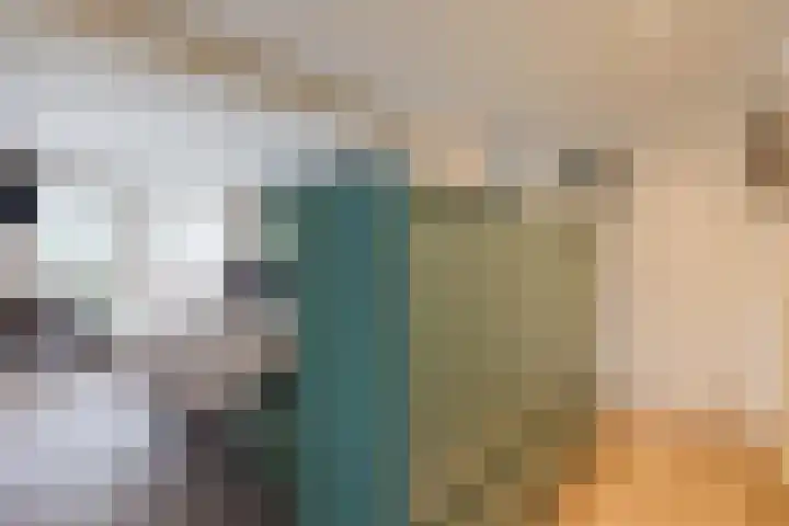 Gladioolstraat 17 Dongen thumbnail 27