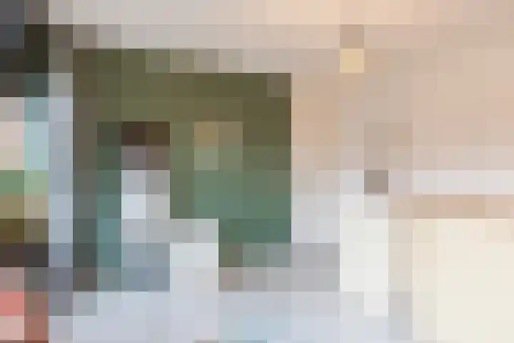 Gladioolstraat 17 Dongen thumbnail 31