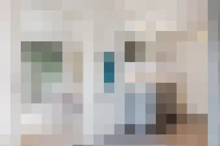 Gladioolstraat 17 Dongen thumbnail 35