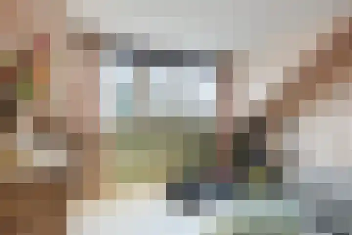 Gladioolstraat 17 Dongen thumbnail 38