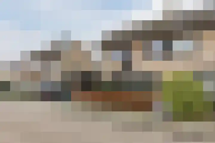 Gladioolstraat 17 Dongen thumbnail 43