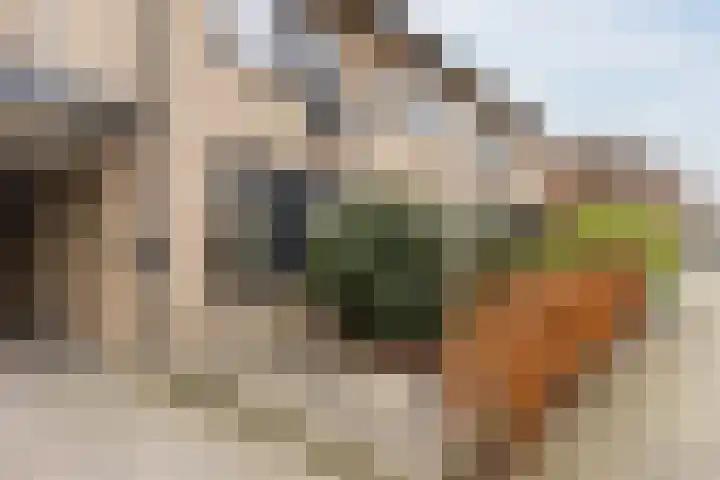 Gladioolstraat 17 Dongen thumbnail 45