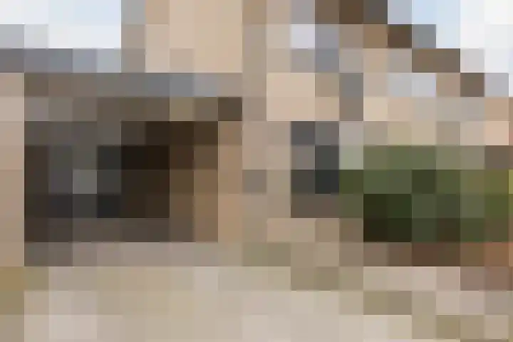 Gladioolstraat 17 Dongen thumbnail 46