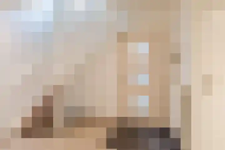 Gladioolstraat 17 Dongen thumbnail 5