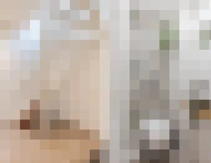Gladioolstraat 17 Dongen thumbnail 6