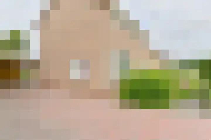 Gladioolstraat 22 Musselkanaal thumbnail 5
