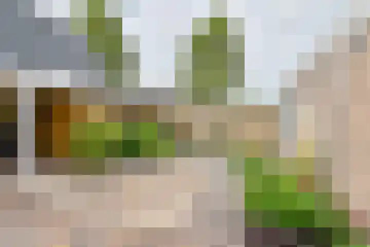 Gladioolstraat 22 Musselkanaal thumbnail 58