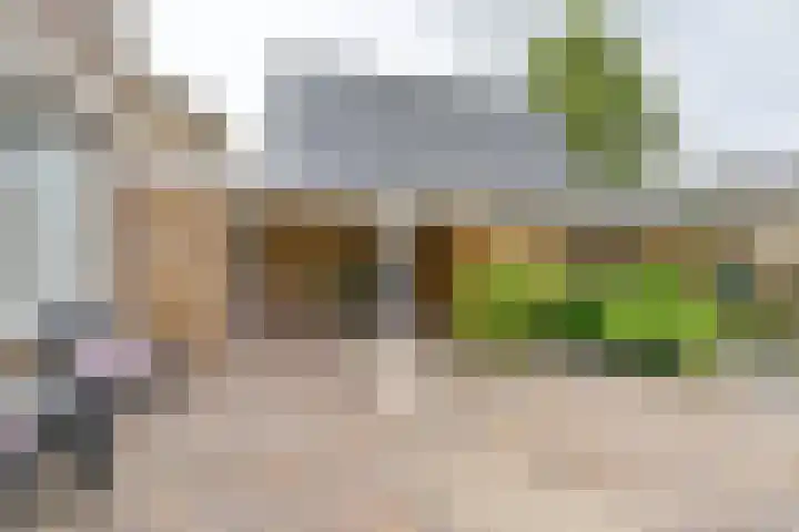 Gladioolstraat 22 Musselkanaal thumbnail 59