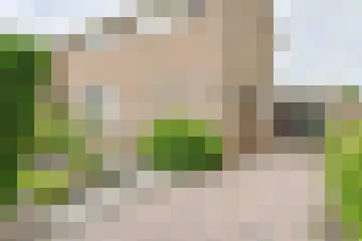 Gladioolstraat 22 Musselkanaal thumbnail 6
