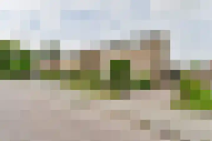Gladioolstraat 22 Musselkanaal thumbnail 62