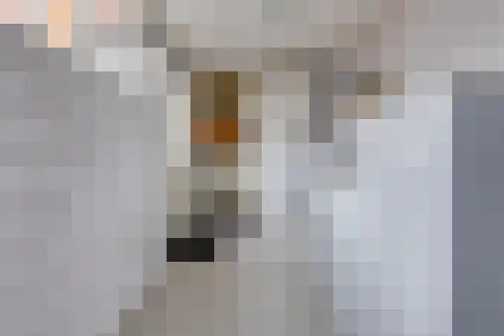 Gladioolstraat 27 Musselkanaal thumbnail 15