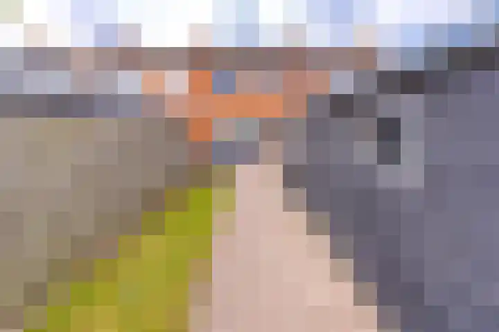 Gladioolstraat 27 Musselkanaal thumbnail 31
