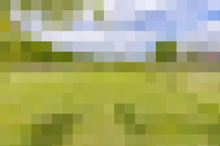 Gladioolstraat 27 Musselkanaal thumbnail 37