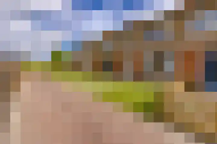 Gladioolstraat 27 Musselkanaal thumbnail 4