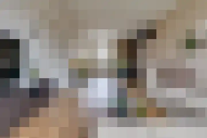 Gladioolstraat 27 Musselkanaal thumbnail 7