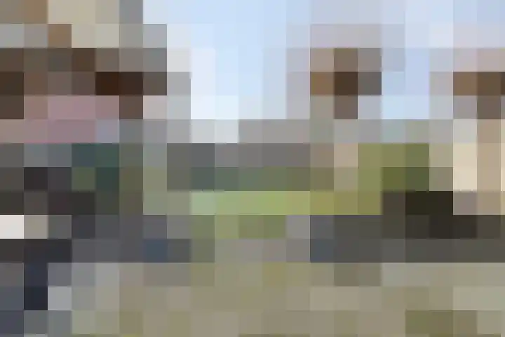 Gladioolstraat 8 Musselkanaal thumbnail 41