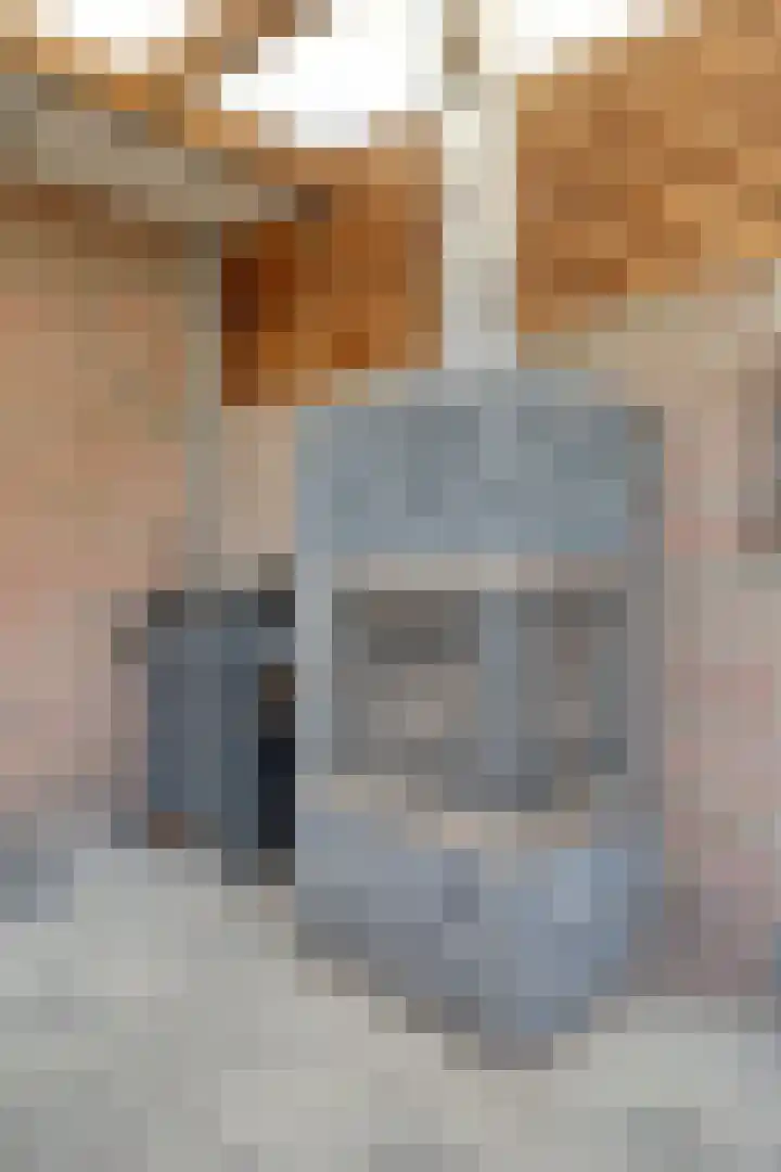 Gladioolstraat 8 Musselkanaal thumbnail 43
