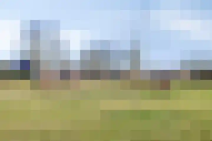 Gladioolstraat 8 Musselkanaal thumbnail 5