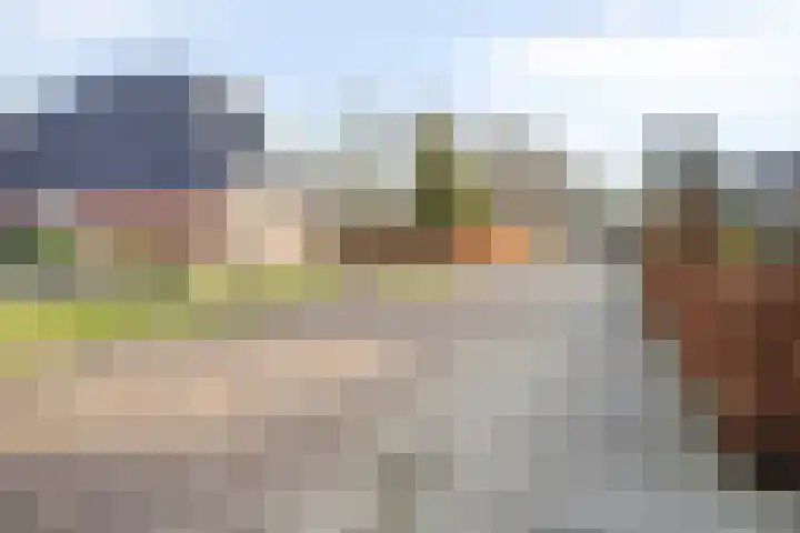 Gladioolstraat 8 Musselkanaal thumbnail 50