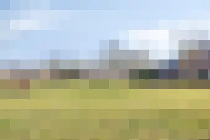 Gladioolstraat 8 Musselkanaal thumbnail 51