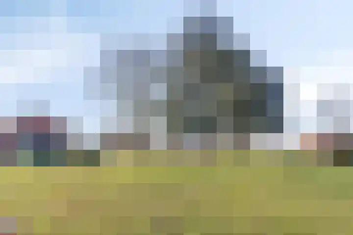 Gladioolstraat 8 Musselkanaal thumbnail 52
