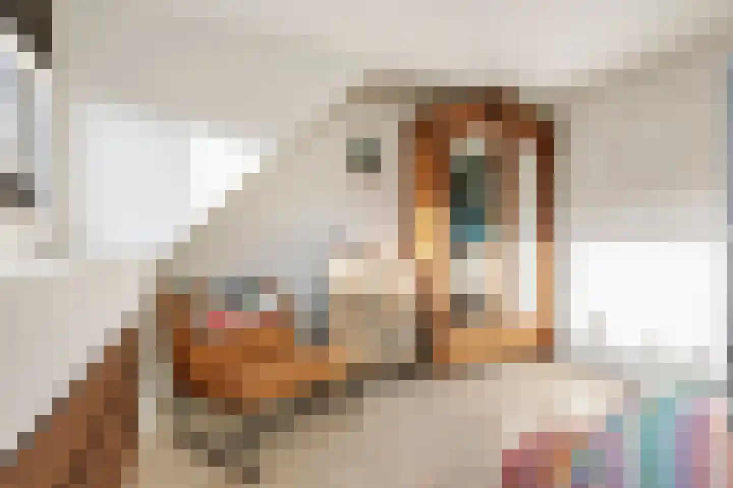 Gladioolveld 14 Nieuwerkerk aan den IJssel thumbnail 18