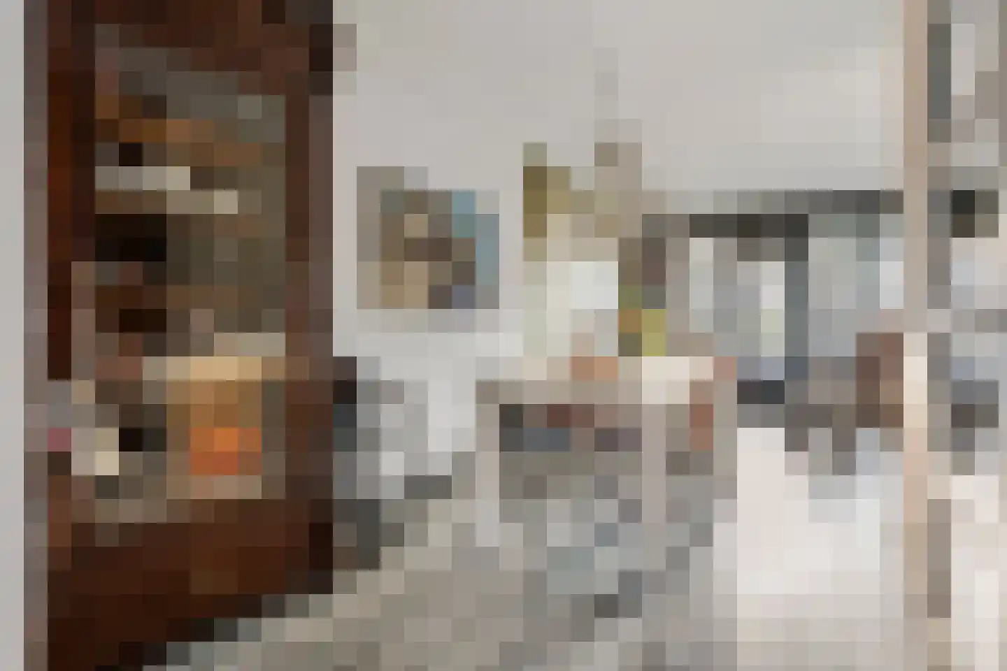 Gladioolveld 14 Nieuwerkerk aan den IJssel thumbnail 9