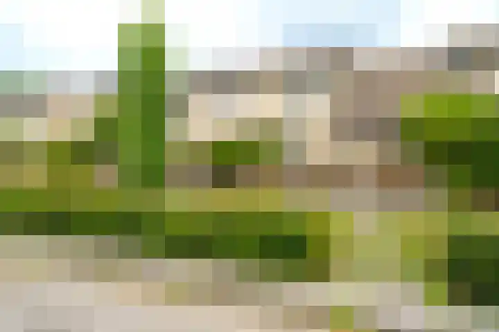 Gladioolweg 21 Almere thumbnail 34