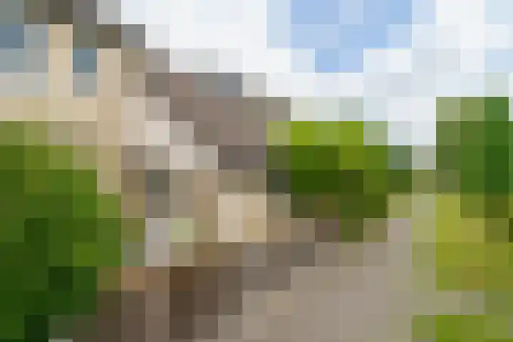 Gladioolweg 21 Almere thumbnail 7