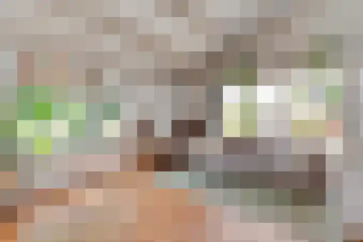 Glanerbeek 28 Zwolle thumbnail 15