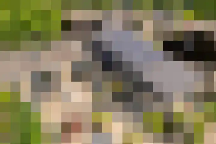 Glanerbeek 28 Zwolle thumbnail 35