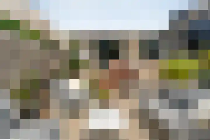 Glanerbeek 28 Zwolle thumbnail 38