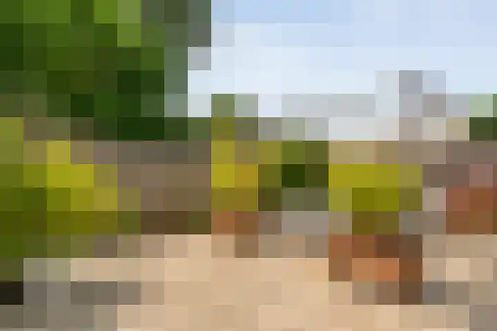 Glanerbeek 28 Zwolle thumbnail 40