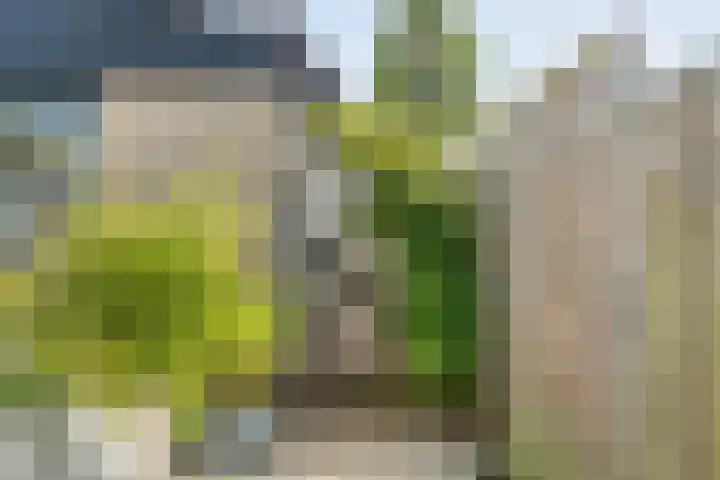 Glanerbeek 28 Zwolle thumbnail 41