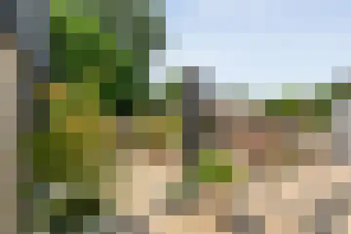 Glanerbeek 28 Zwolle thumbnail 42