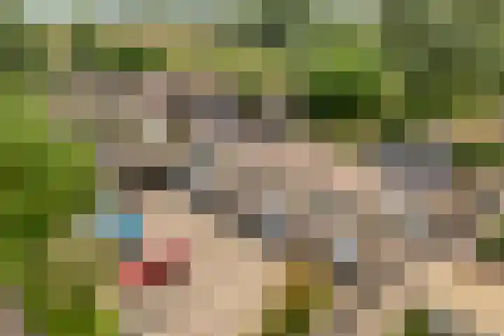 Glanerbeek 28 Zwolle thumbnail 48
