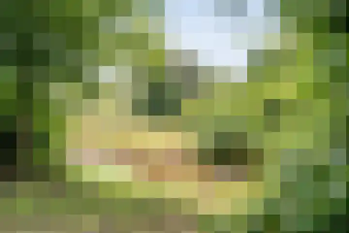 Glanerbeek 28 Zwolle thumbnail 50