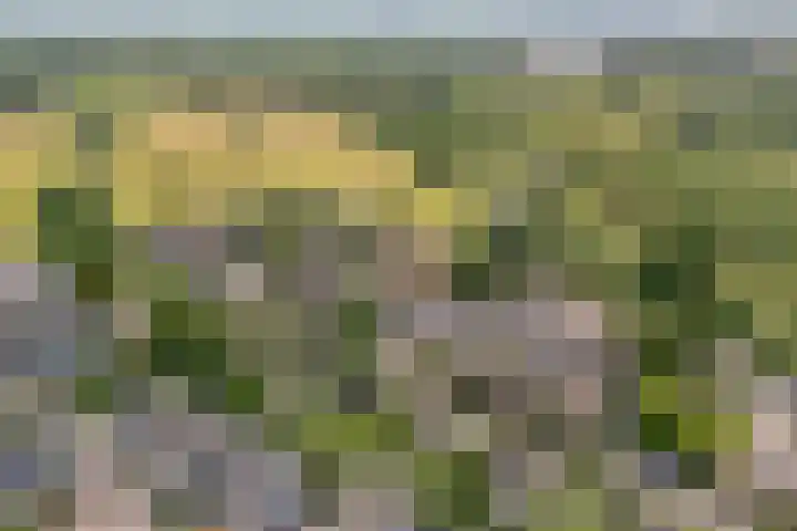 Glanerbeek 28 Zwolle thumbnail 51