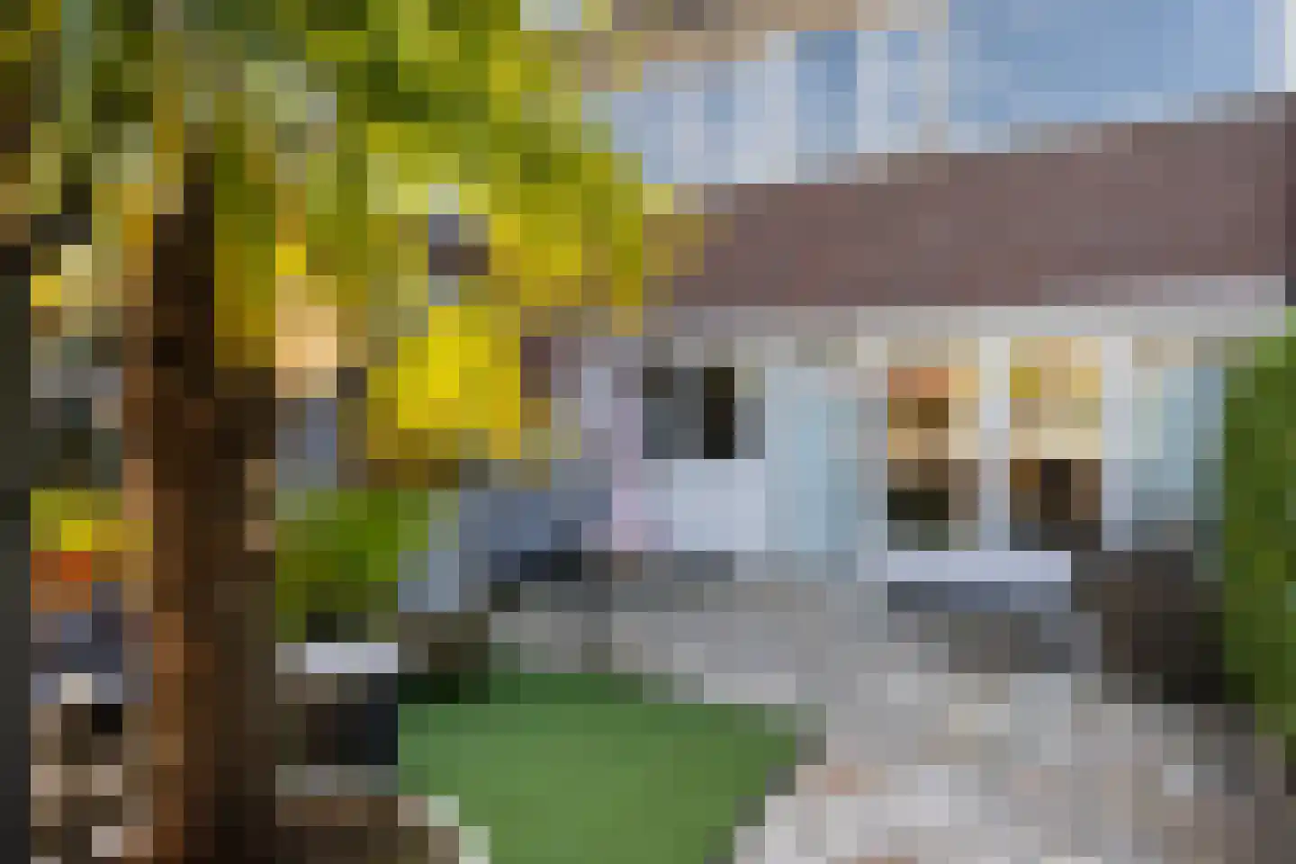 Glanerbeek 5 Zwolle thumbnail 30