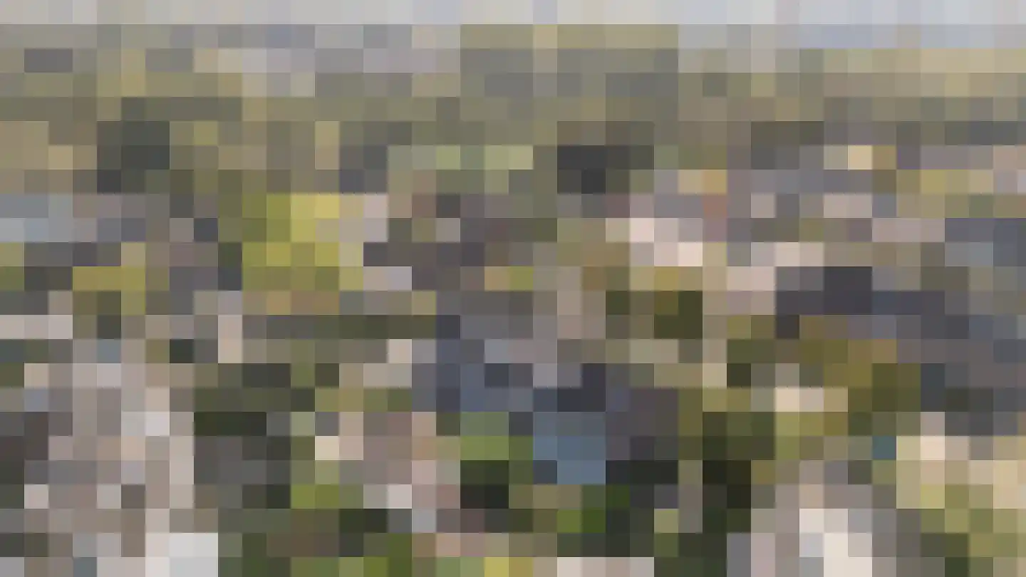 Glanerbeek 5 Zwolle thumbnail 33