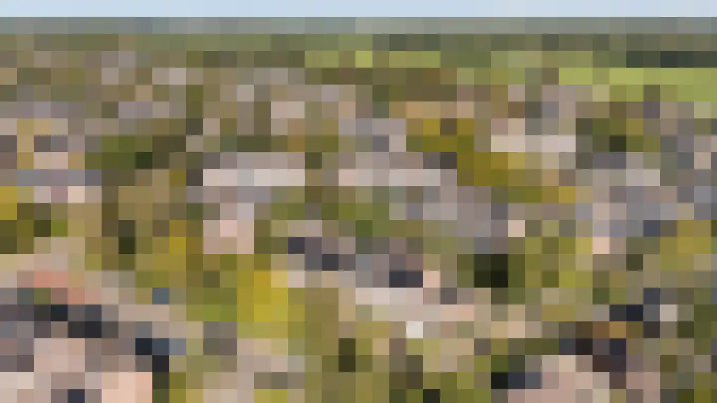 Glanerbeek 5 Zwolle thumbnail 34