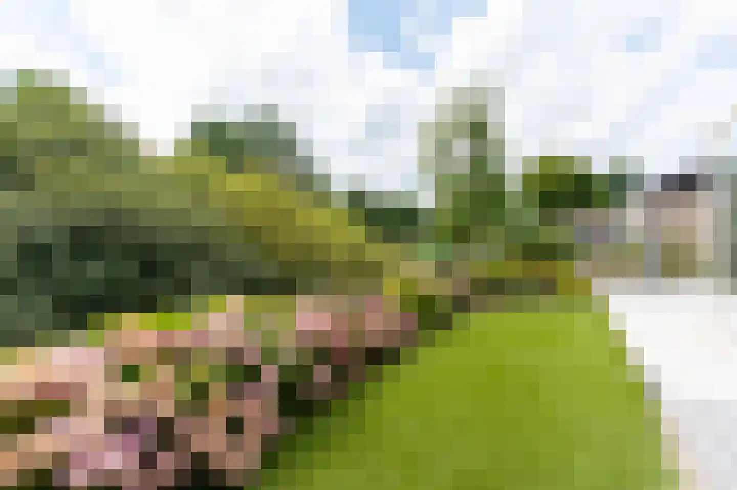 Glanerbeek 57 Zwolle thumbnail 42
