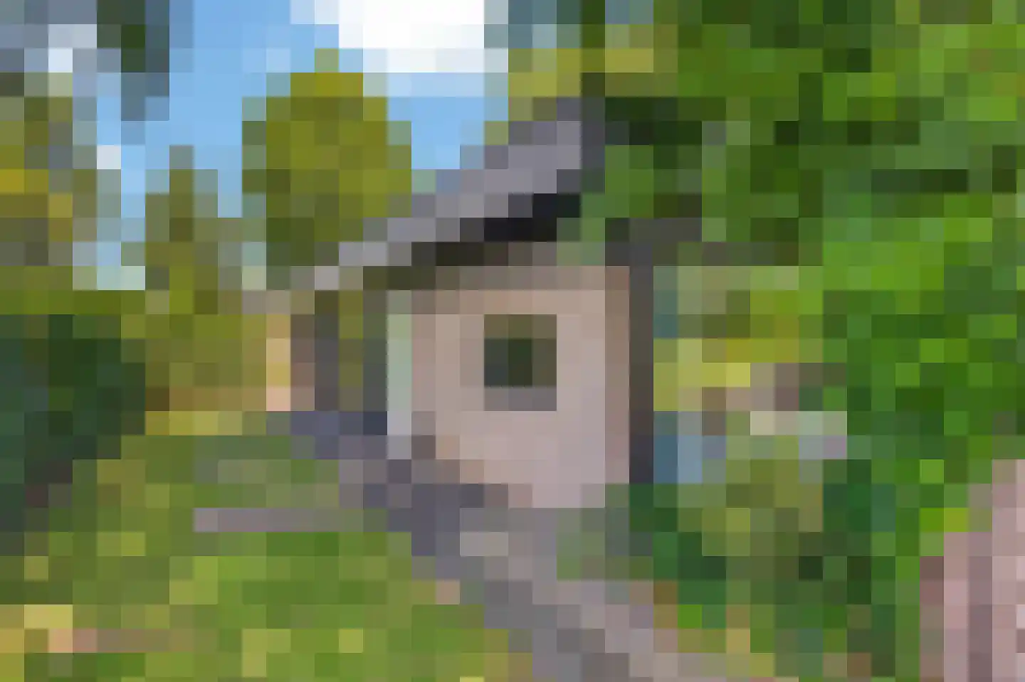 Glanestraat 21 Hengelo thumbnail 38