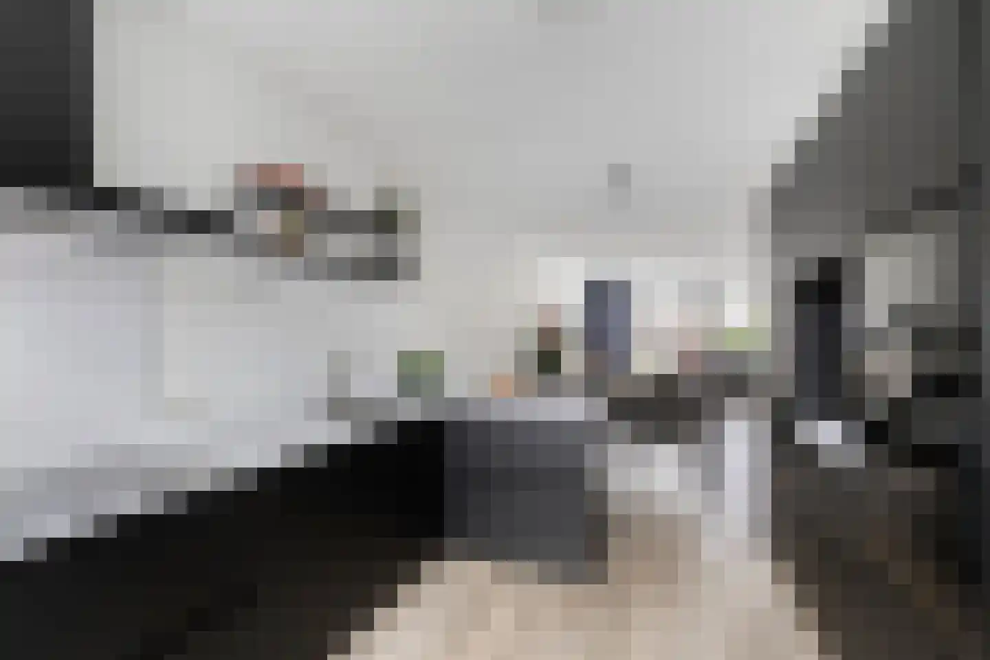 Glanslibel 18 Son en Breugel thumbnail 10