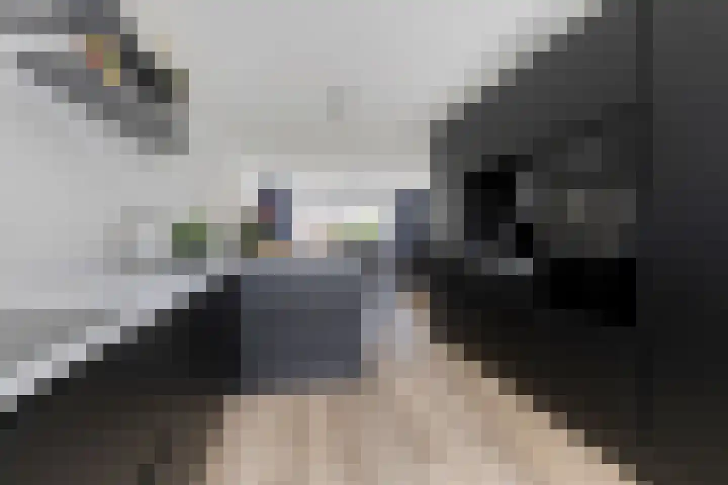 Glanslibel 18 Son en Breugel thumbnail 12