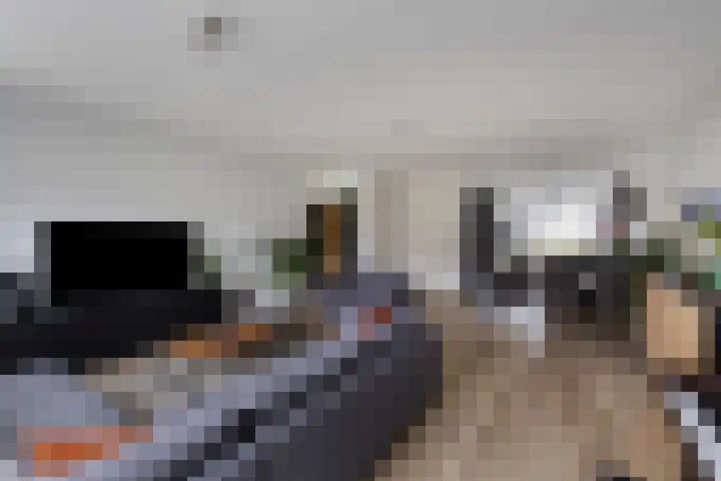 Glanslibel 18 Son en Breugel thumbnail 16